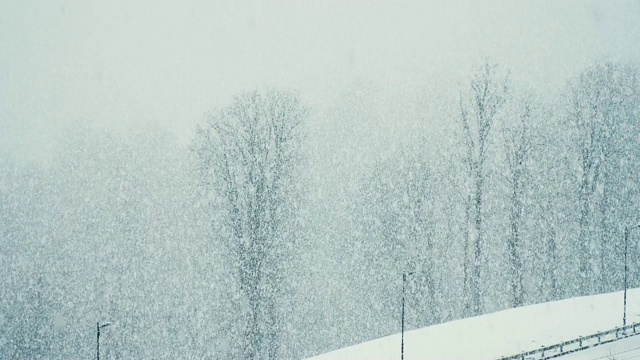 大片大片的雪花从天空中飘落下来，大片大片的雪花由一堵墙落下，动作缓慢视频素材