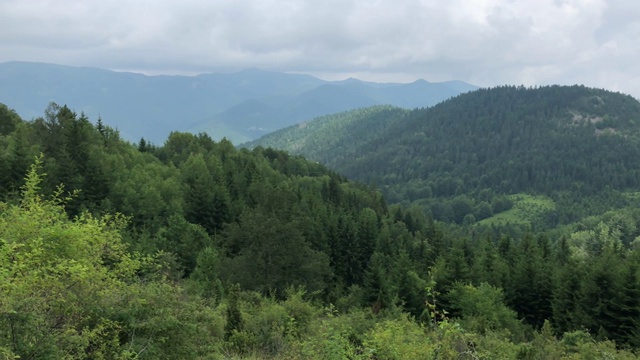 全景从塞尔维亚自然的高度，绿色的山丘和山脉，长满了森林和云杉树视频素材