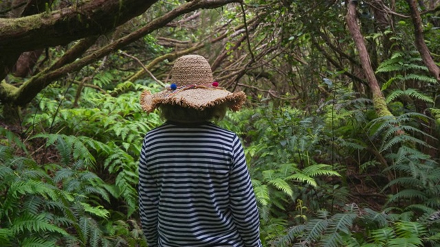 一个女人在神秘的热带雨林丛林的冒险视频素材