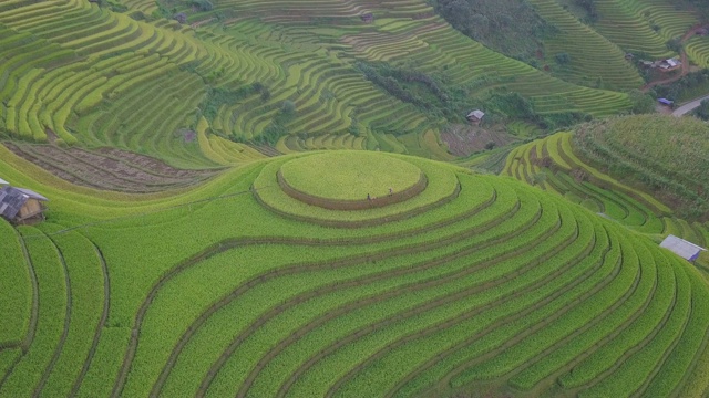 越南风景，稻田梯田在木仓寨，盐白，越南视频素材