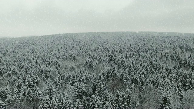 4 k。飞行上方的冬季森林在下雪的北方，空中全景视频素材