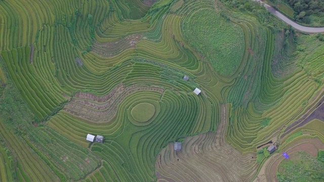 越南的梯田景观视频素材