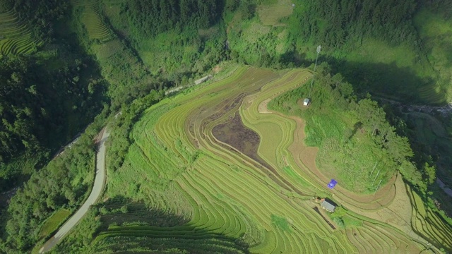 俯瞰美丽的越南风景和梯田视频素材