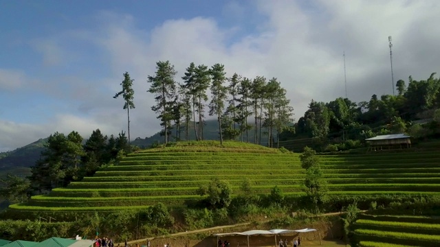 越南风景，稻田梯田在木仓寨，盐白，越南视频素材