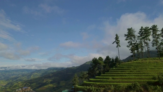 俯瞰美丽的越南风景和梯田视频素材