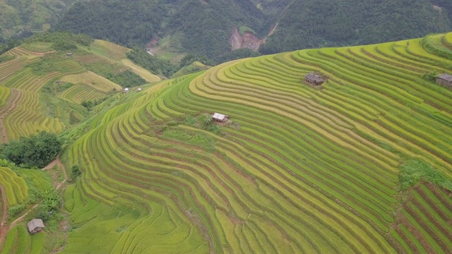 俯瞰美丽的越南风景和梯田视频素材