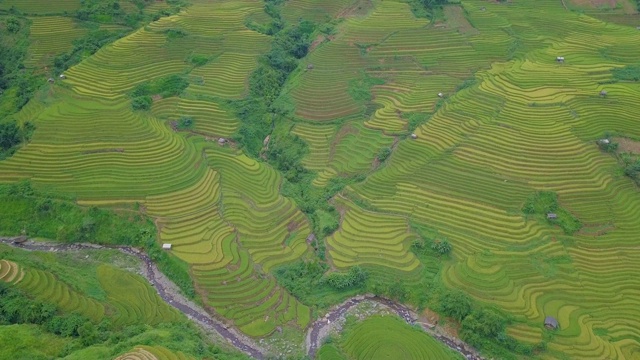 俯瞰美丽的越南风景和梯田视频素材