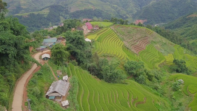 越南风景，稻田梯田在木仓寨，盐白，越南视频素材