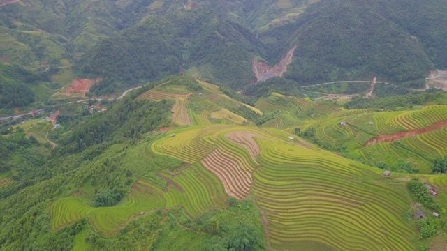 俯瞰美丽的越南风景和梯田视频素材