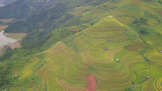 俯瞰美丽的越南风景和梯田视频素材