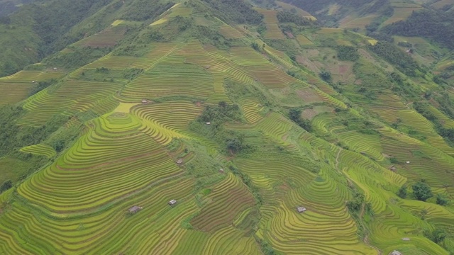 越南的梯田景观视频素材