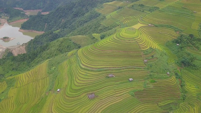 俯瞰美丽的越南风景和梯田视频素材