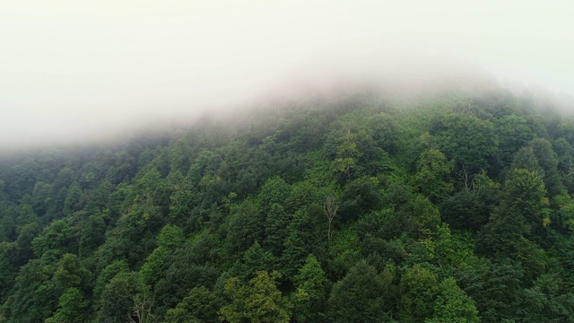 4 k天线。飞行在山中，运动到山顶视频素材