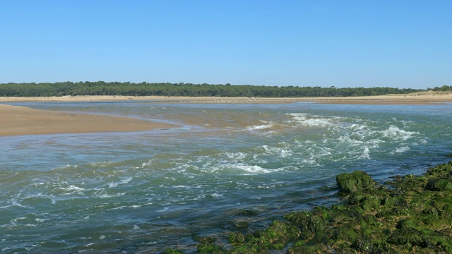 河口强流视频下载