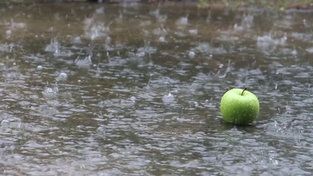 近距离镜头拍摄的雨水落在绿苹果上放置在水面上的泡沫在雨道路上。视频下载