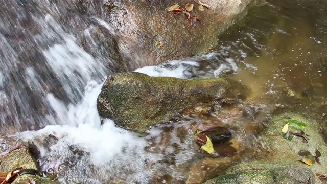 水流流过岩石和苔藓，流入热带森林中的瀑布小溪。视频下载