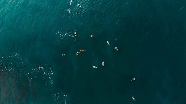 海上冲浪者的鸟瞰图。前视图。冲浪和海浪视频素材