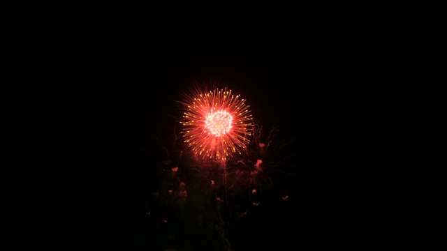 庆祝烟花爆炸和辉光在黑暗的背景与黑暗和谷物加工视频素材