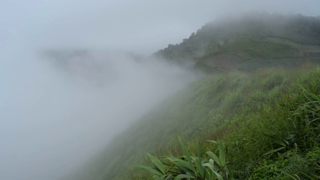 山上有雾和风视频下载