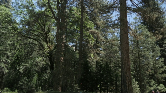 上约塞米蒂瀑布观光巴士，约塞米蒂村，约塞米蒂国家公园，联合国教科文组织世界遗产地，加利福尼亚州，美国，北美视频素材