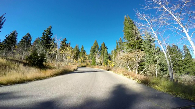 4k峡谷路在秋天视频素材