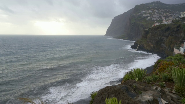 海角Girão与仙人掌在前景卡马拉德洛沃斯，马德拉视频素材