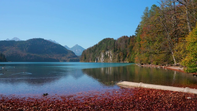 美丽的高山湖泊全景。它位于德国巴伐利亚州施万高的新天鹅堡和霍恩施万高城堡附近。视频素材