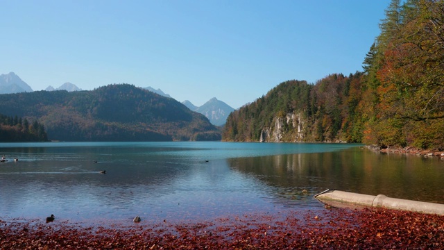 美丽的高山湖泊全景。它位于德国巴伐利亚州施万高的新天鹅堡和霍恩施万高城堡附近。视频素材