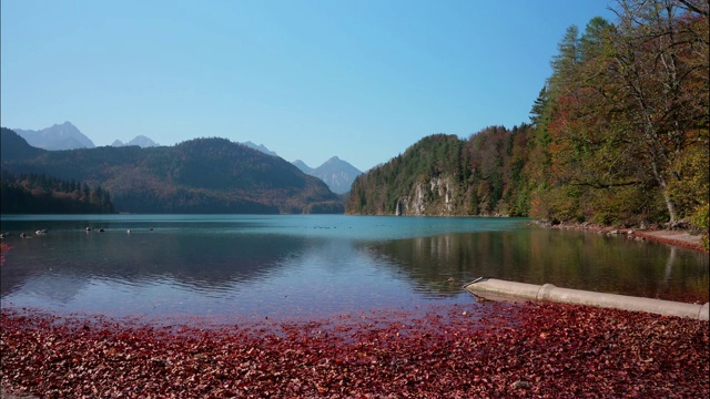 美丽的高山湖泊全景。它位于德国巴伐利亚州施万高的新天鹅堡和霍恩施万高城堡附近。视频素材