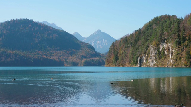 美丽的高山湖泊全景。它位于德国巴伐利亚州施万高的新天鹅堡和霍恩施万高城堡附近。视频素材