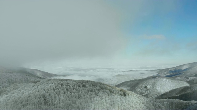 在白雪覆盖的薄雾山林上空飞翔。视频素材