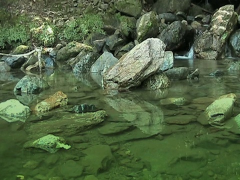 山林中的淡水视频素材