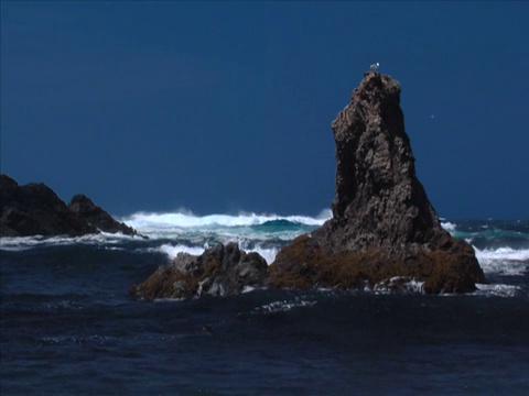 门多西诺岩石和海浪视频素材