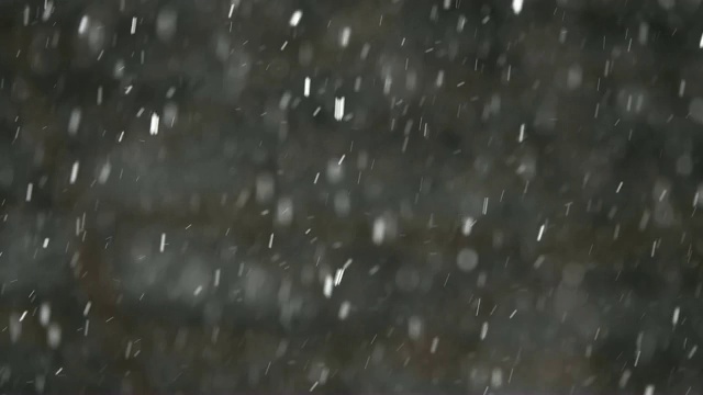 正在下雪，风很大。视频素材