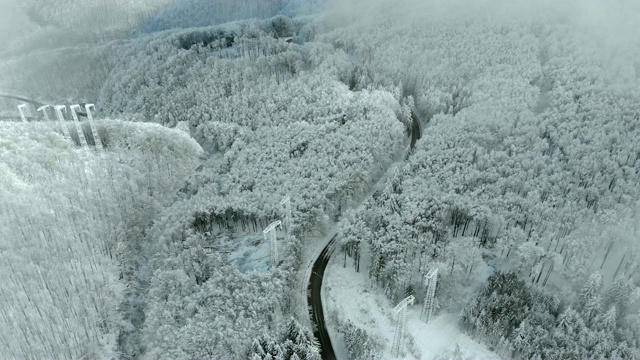 冬天的风景，道路和冰雪覆盖的树木。视频素材