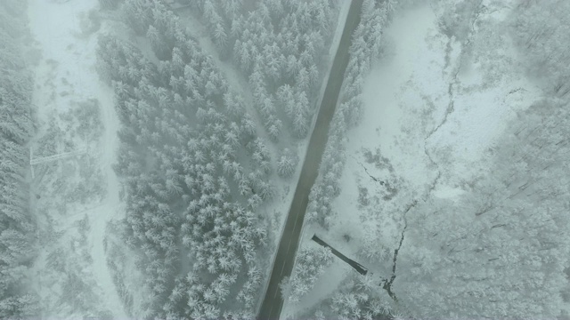 冬天的风景，道路和冰雪覆盖的树木。视频素材