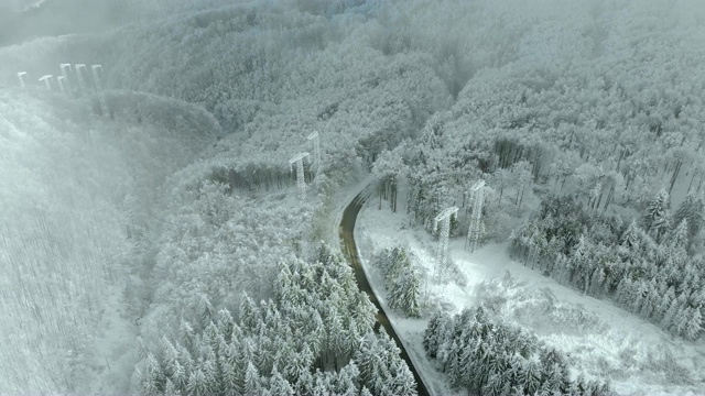 冬季景观道路和积雪覆盖的树木。视频素材