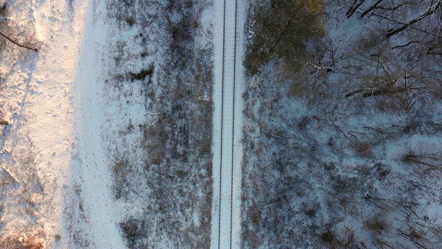 俯视图或无人机拍摄的铁路或铁路之间的冬季森林在雪视频素材