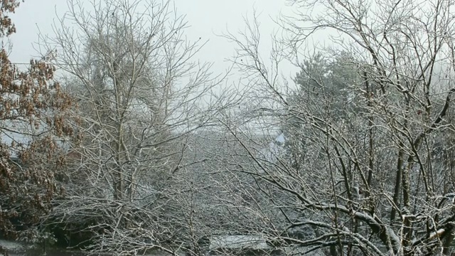 奥地利下雪的早晨视频素材