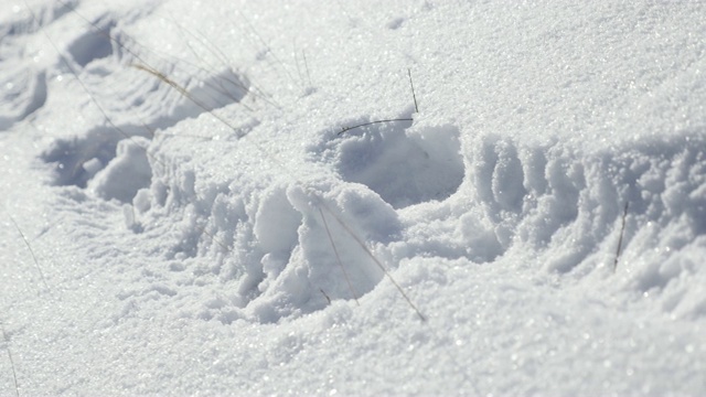 人类远足鞋印在雪山特写慢镜头4K 2160p 30fps超高清镜头-山径在新鲜的白雪特写3840X2160超高清全景视频视频素材