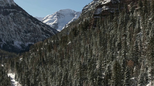 滑行无人机拍摄的积雪森林的树木和圣胡安山脉(落基山脉)在乌雷，科罗拉多州在晴朗的天空下视频素材