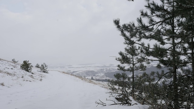 下载中心>资源分类>行业文章>科学研究> Path through coniferwoods under snow winter background视频素材