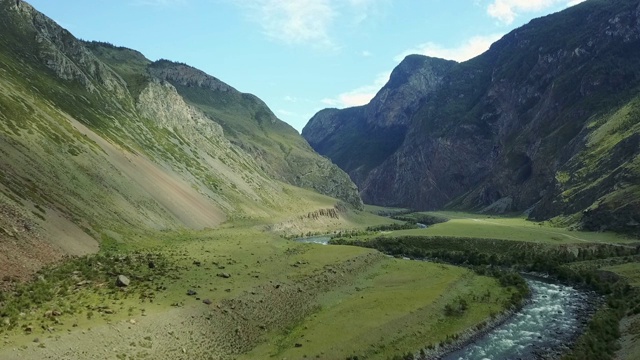 阿尔泰山谷。山间河流在高雪山之间流动。视频素材