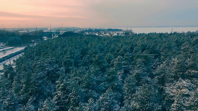 鸟瞰图寒冷的冬季景观视频下载