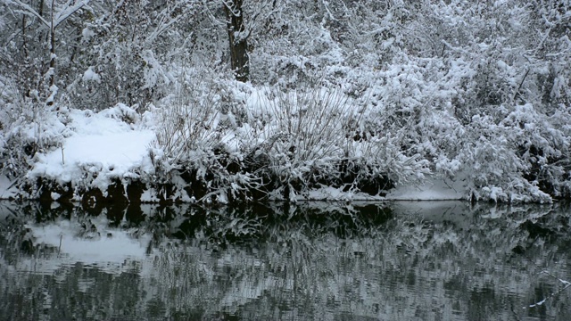 河水在寒冷的冬日里波涛汹涌，树枝上爬满了雪视频素材