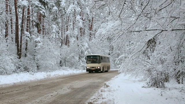 公共汽车沿着积雪的道路穿过森林。视频素材