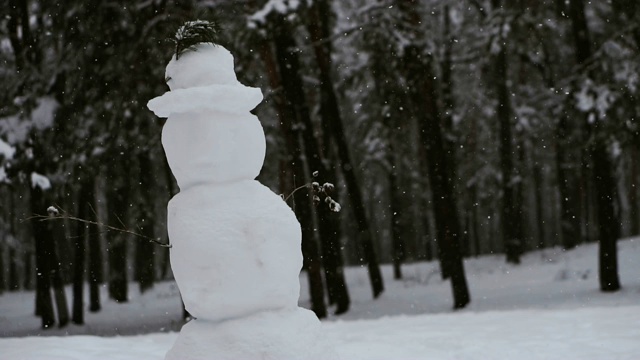 雪人。下雪的雪人视频素材