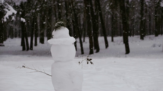 雪人。下雪的雪人视频素材