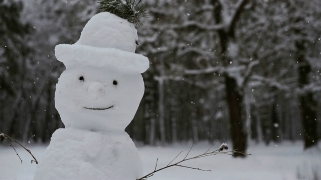 雪人。下雪的雪人视频素材