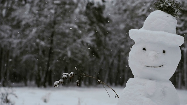 雪人。下雪的雪人视频素材